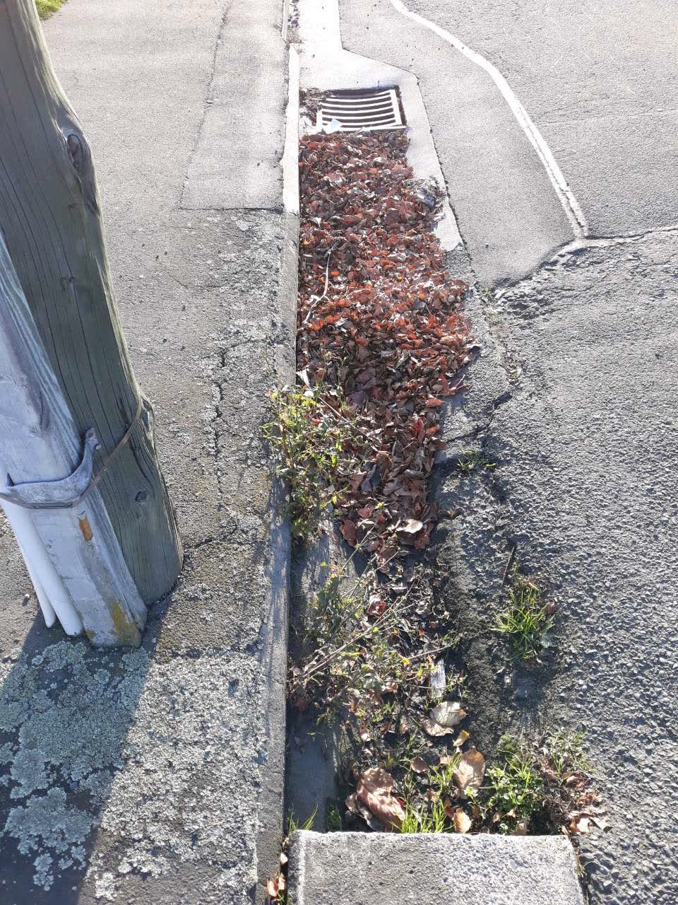 The photograph attached to this wastewater/stormwater report