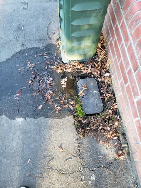 Water Supply, a report photo