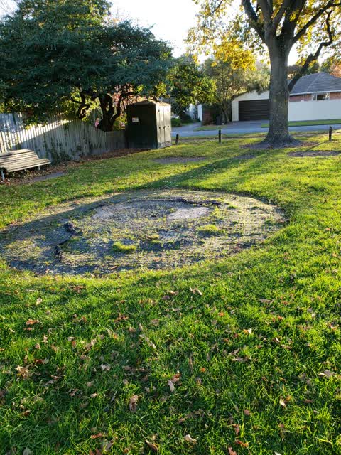 Parks, a report photo