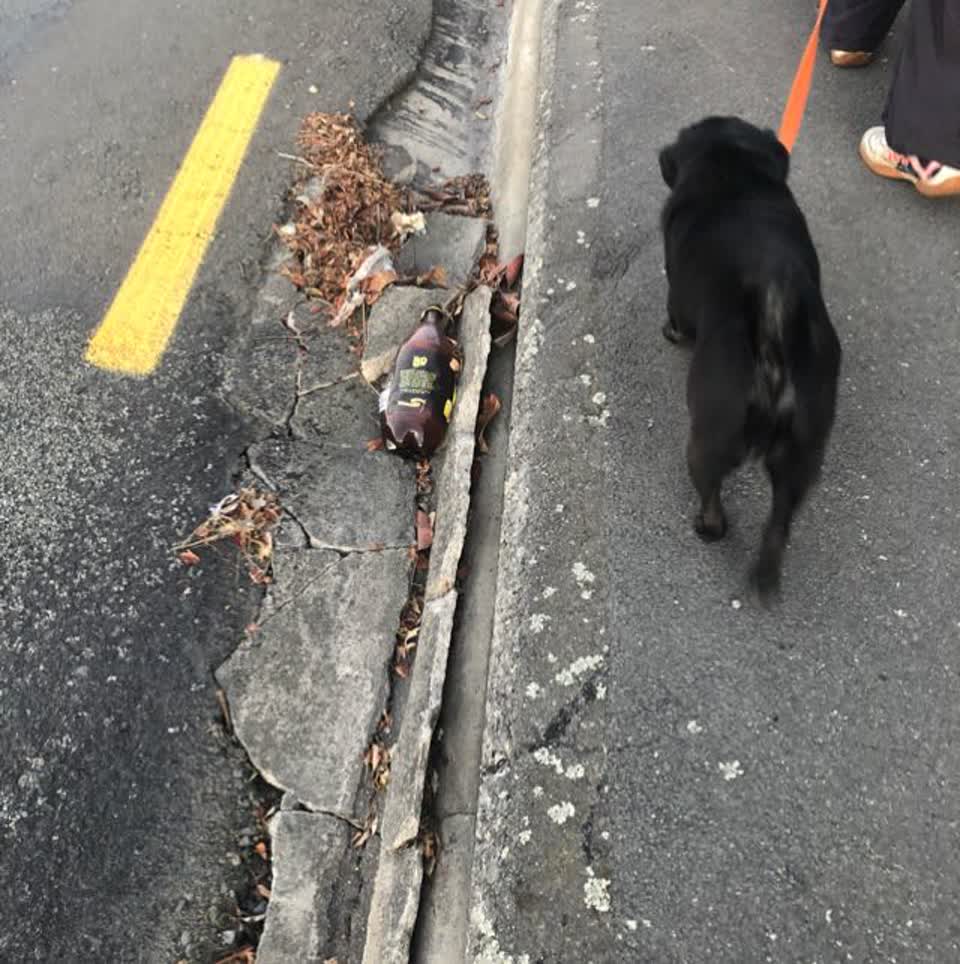 The photograph attached to this roading/streets report
