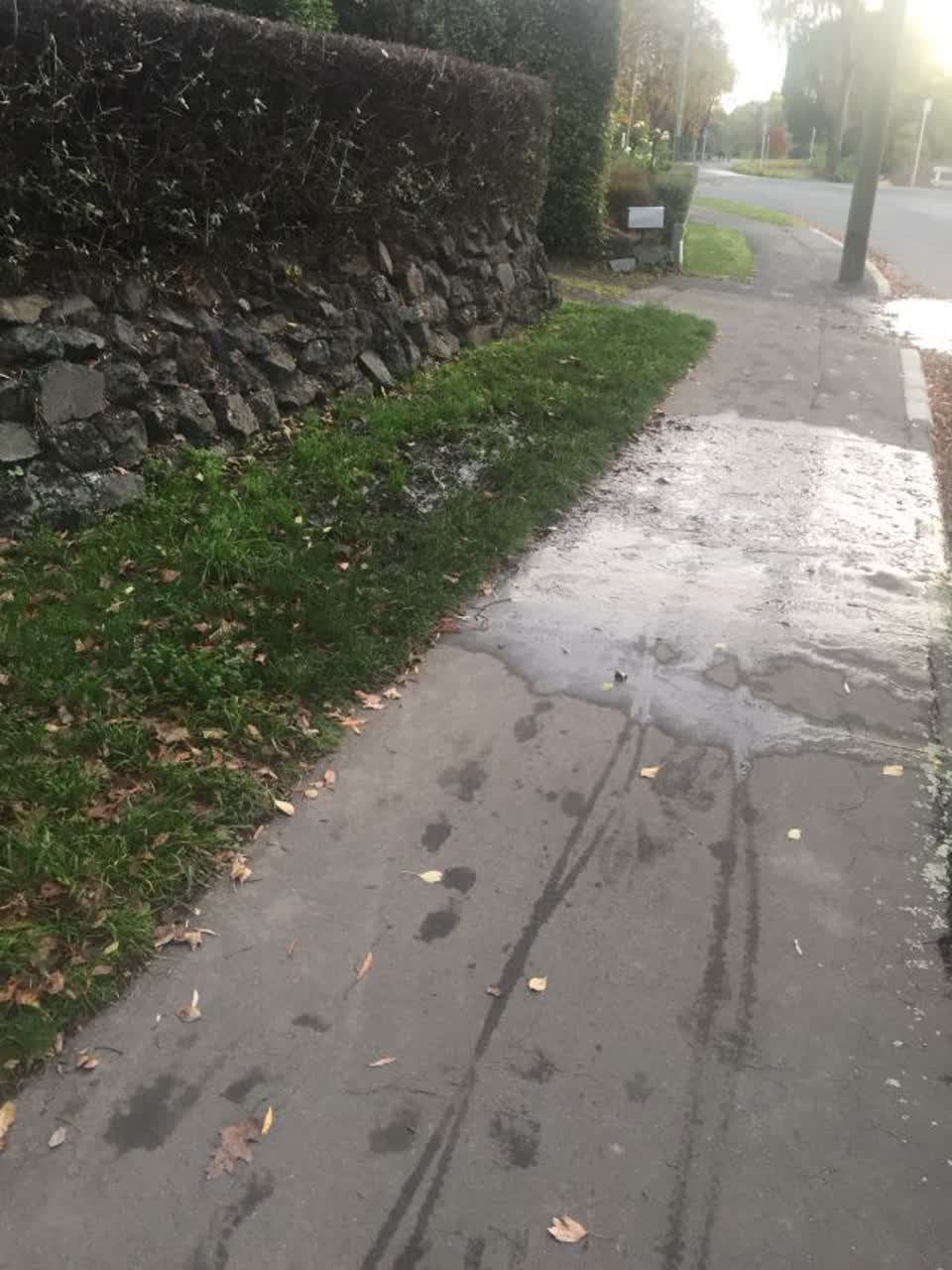 The photograph attached to this water supply report