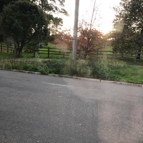 Roading/Streets, a report photo