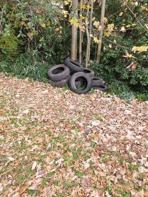 Rubbish/Recycling, a report photo