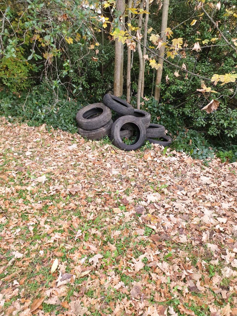 The photograph attached to this rubbish/recycling report