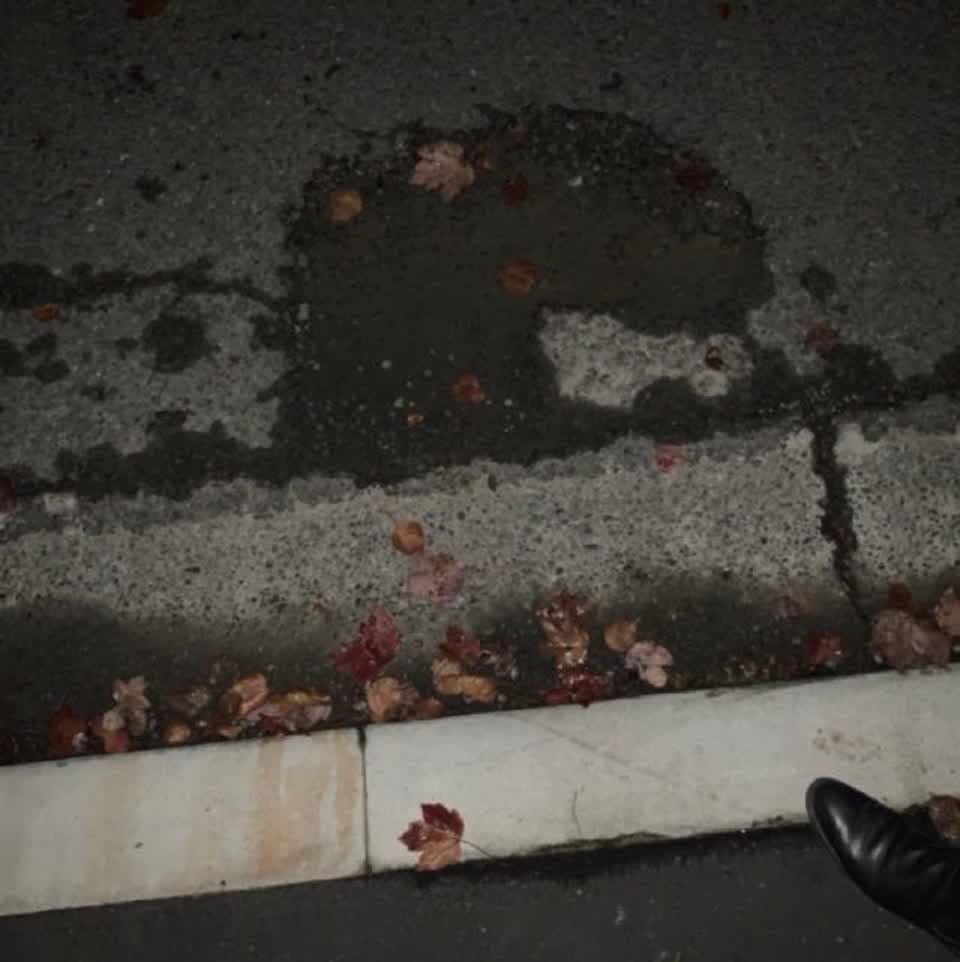 The photograph attached to this roading/streets report