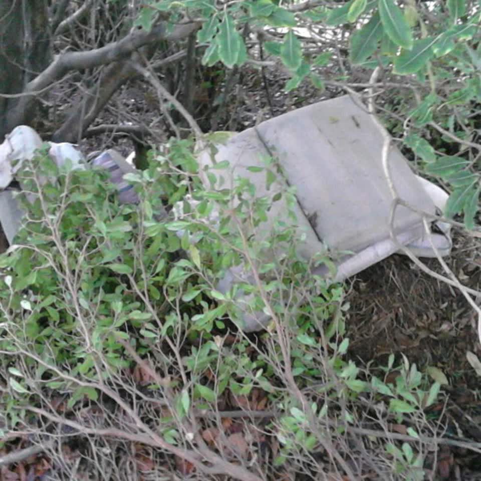 The photograph attached to this rubbish/recycling report