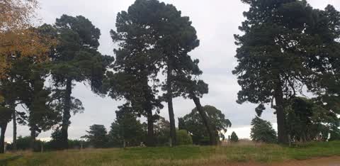 Parks, a report photo