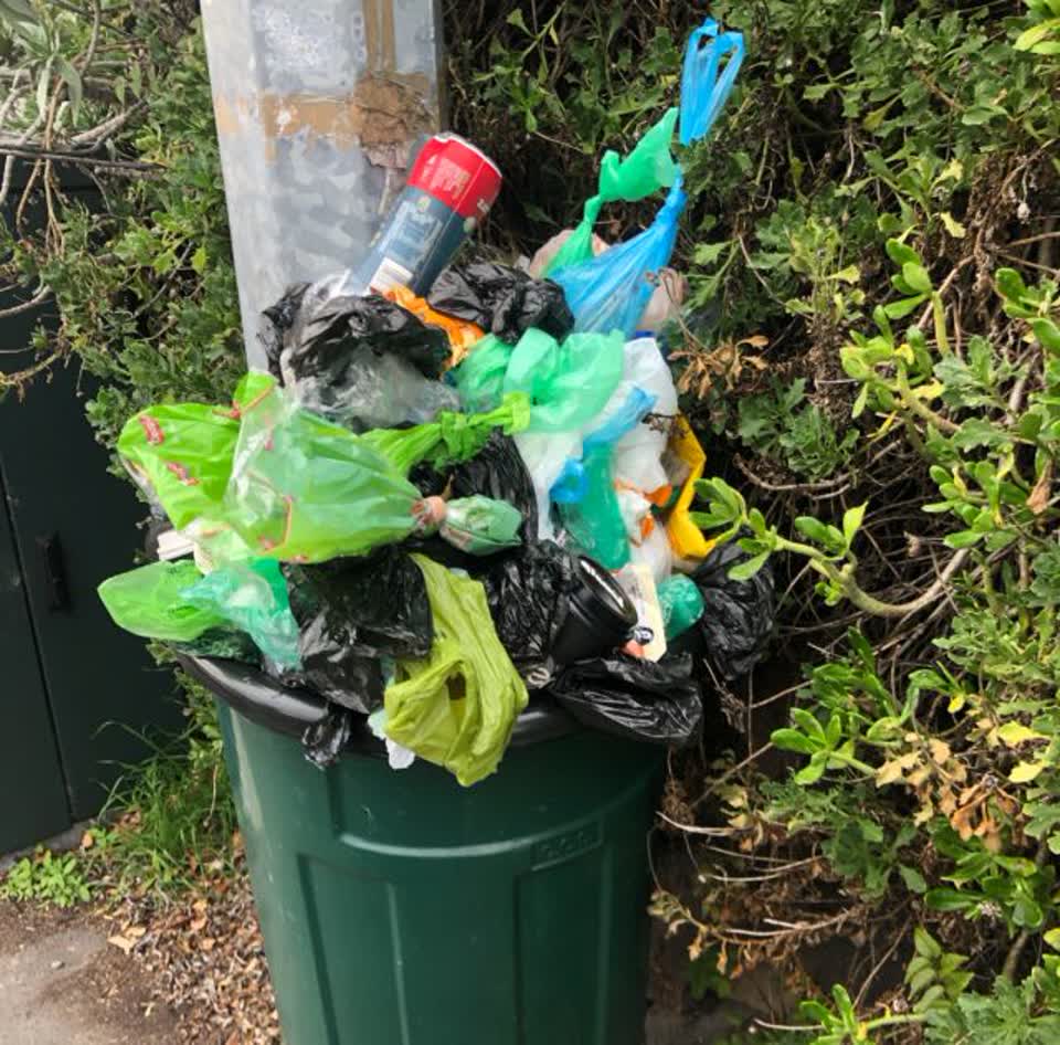 The photograph attached to this rubbish/recycling report