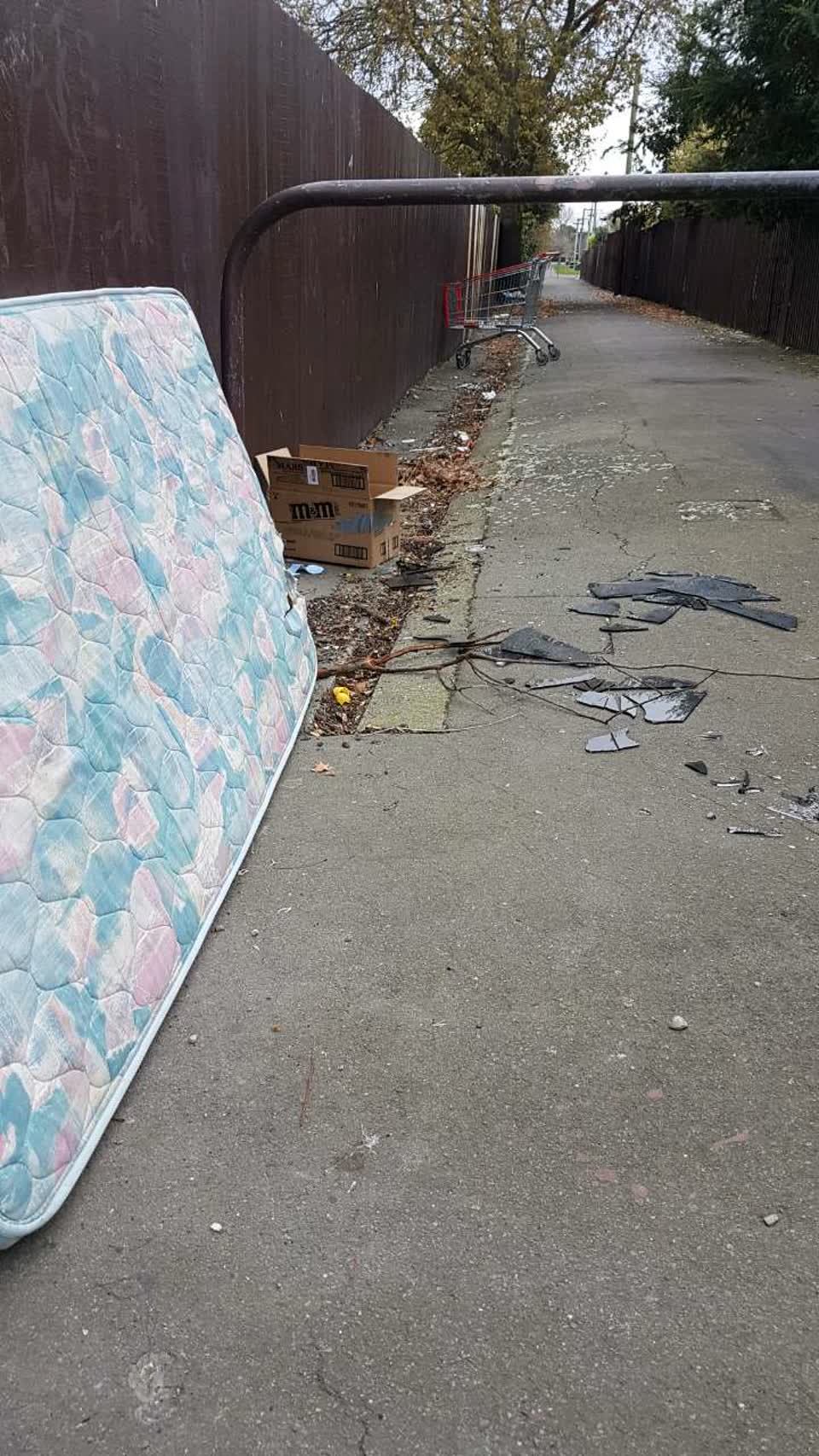 The photograph attached to this rubbish/recycling report