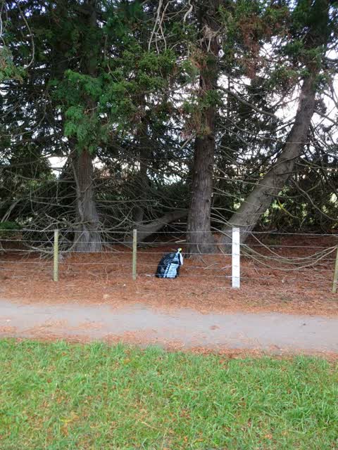 Rubbish/Recycling — a report photo