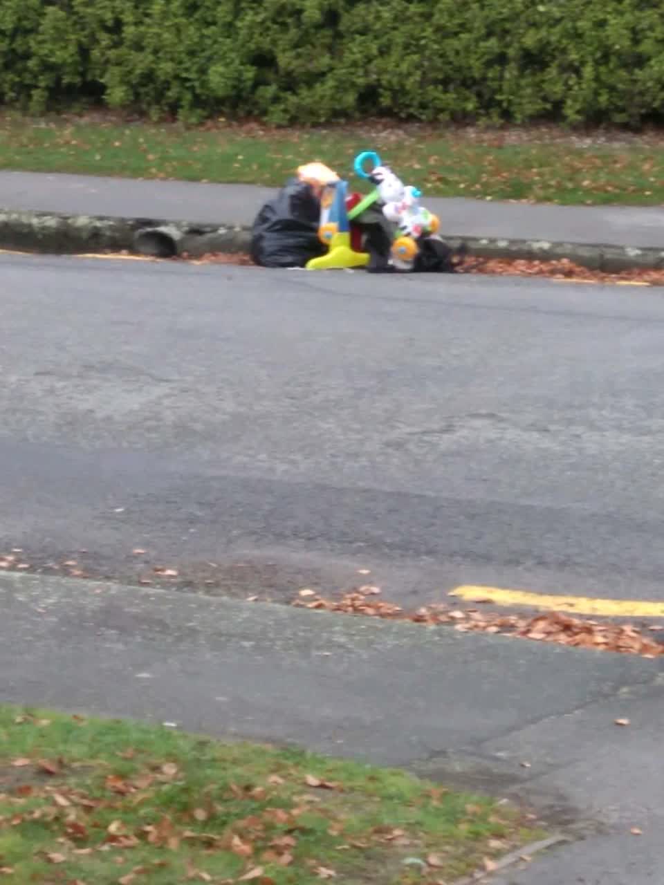 The photograph attached to this rubbish/recycling report