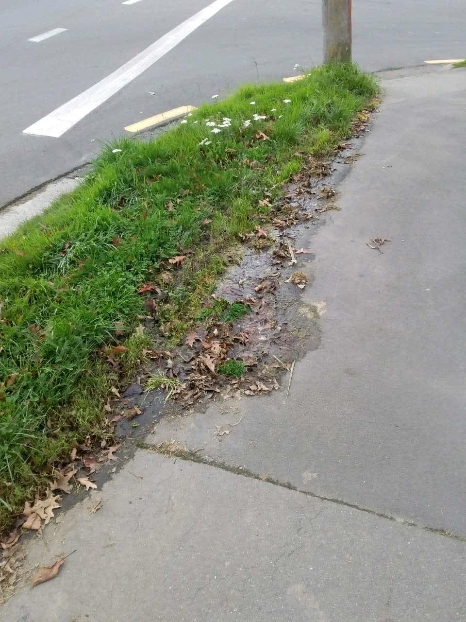 The photograph attached to this water supply report