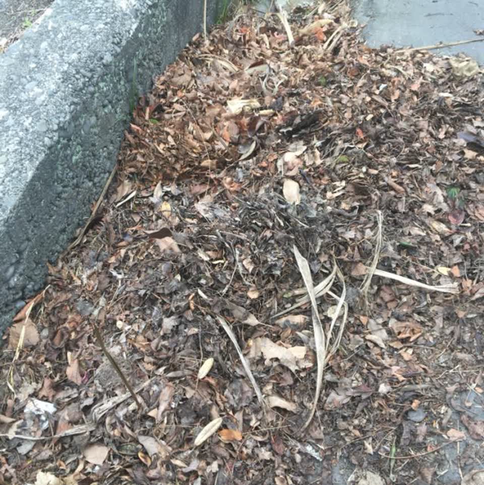The photograph attached to this wastewater/stormwater report