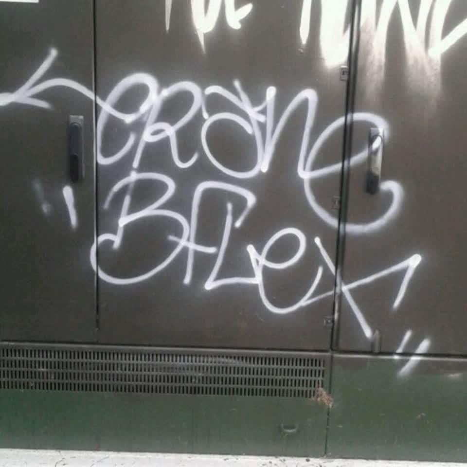 The photograph attached to this graffiti report