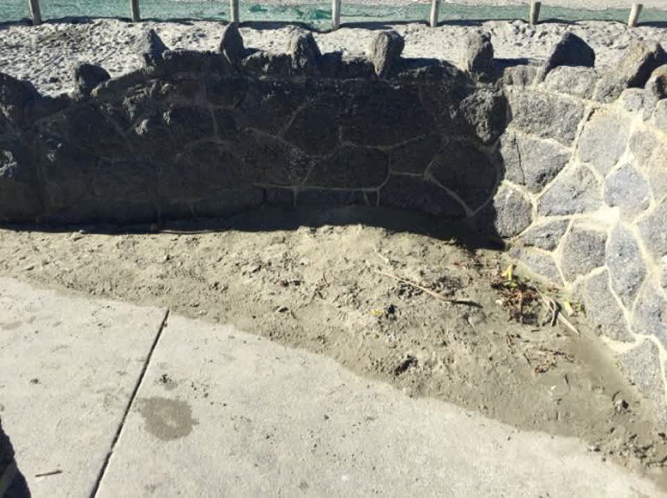 The photograph attached to this parks report