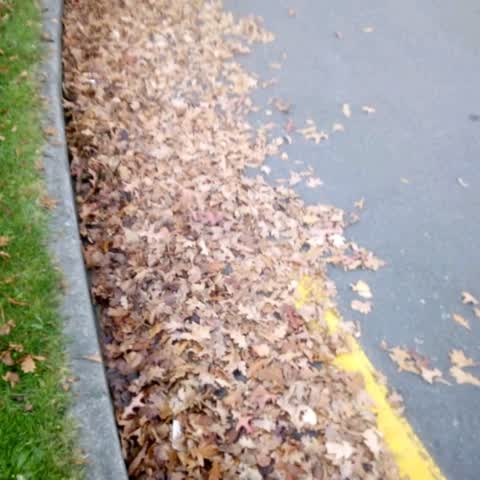Roading/Streets, a report photo