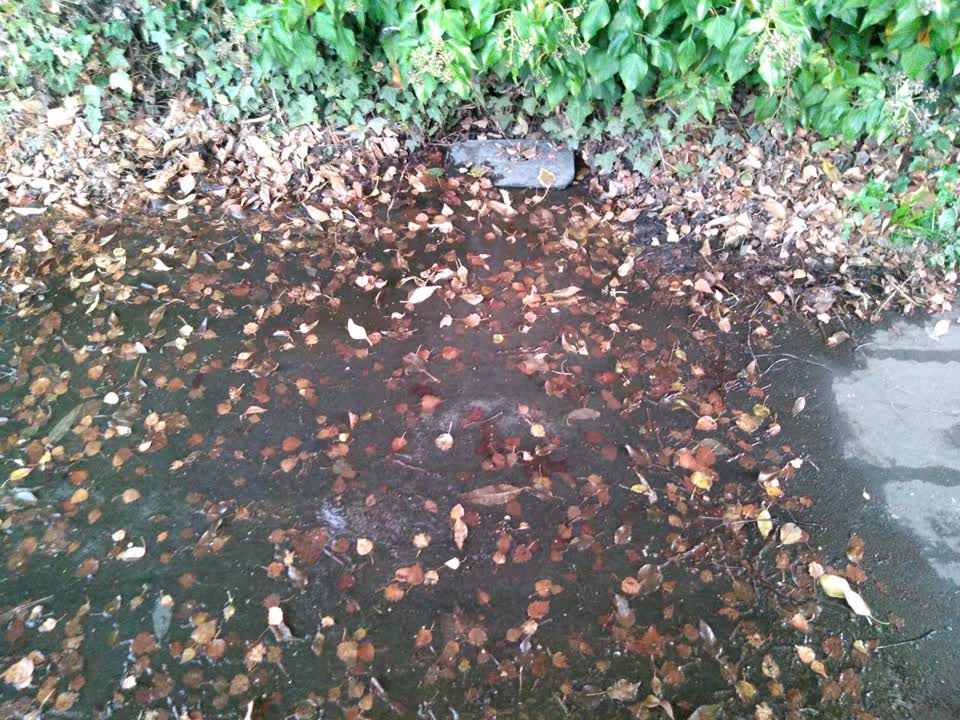 The photograph attached to this water supply report