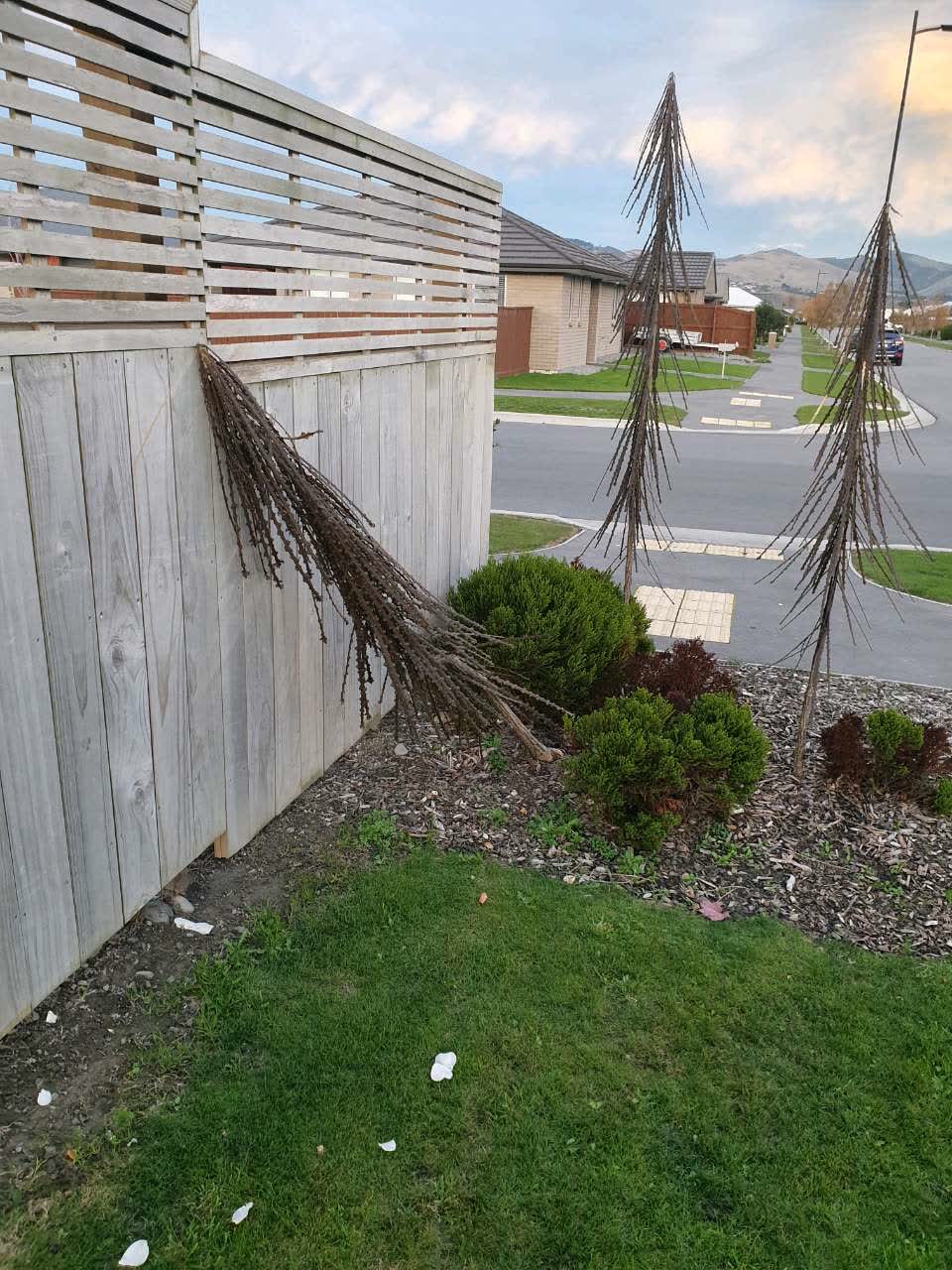 The photograph attached to this parks report