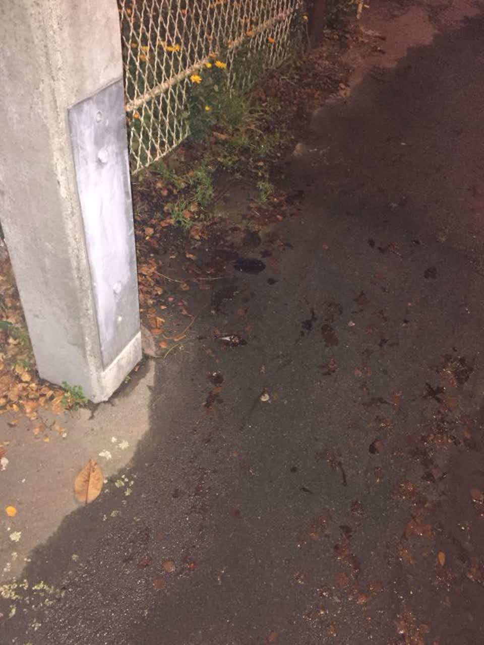 The photograph attached to this water supply report