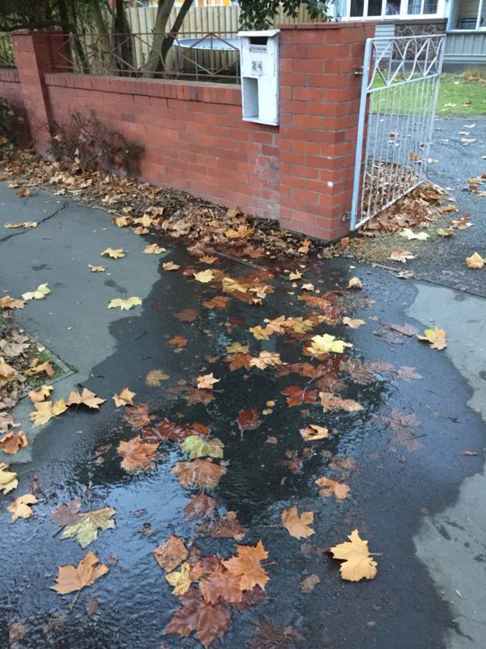 The photograph attached to this water supply report