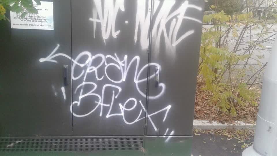 The photograph attached to this graffiti report