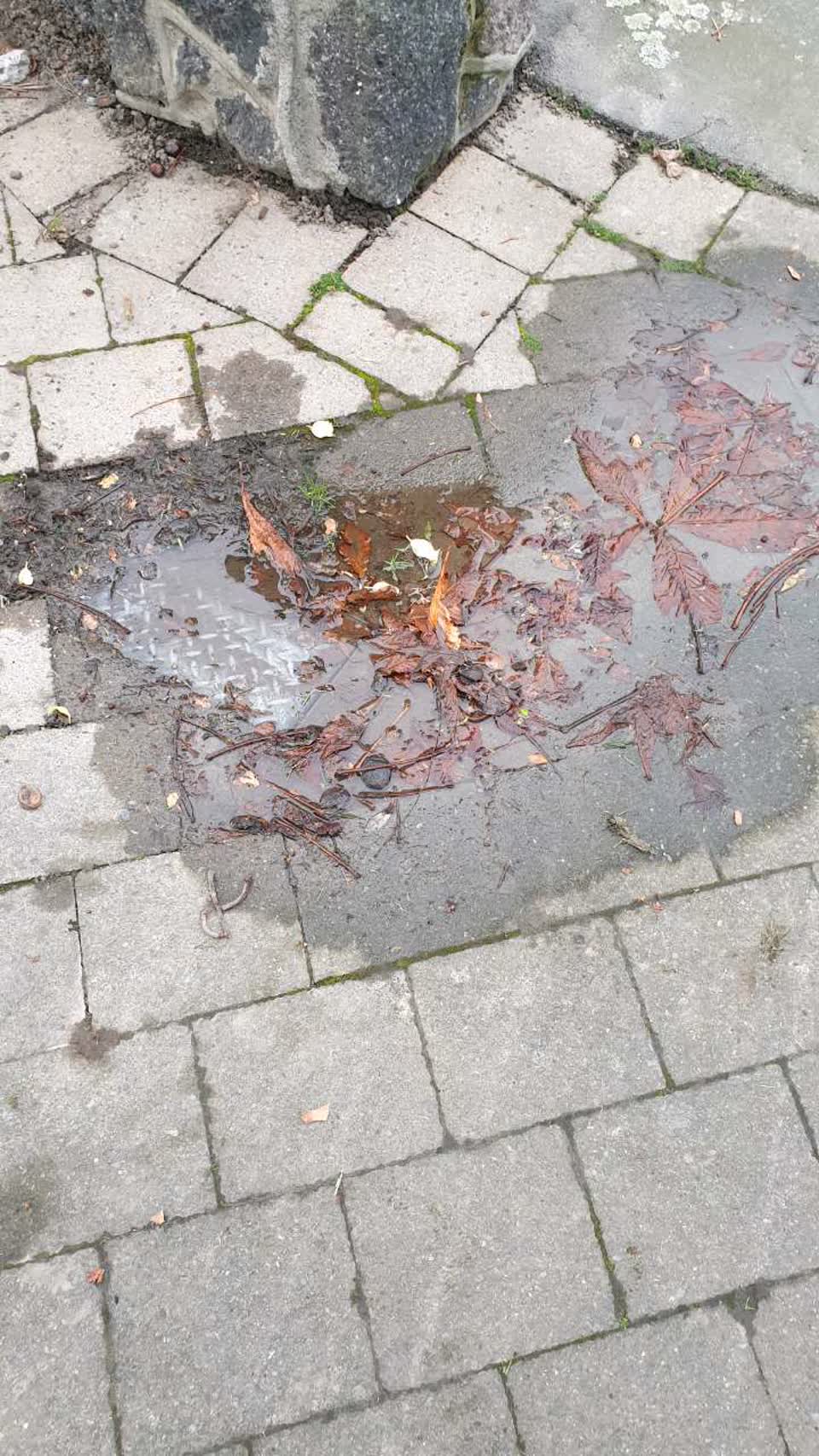 The photograph attached to this water supply report