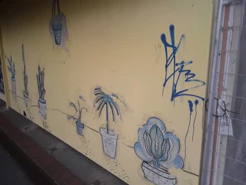 Graffiti, a report photo