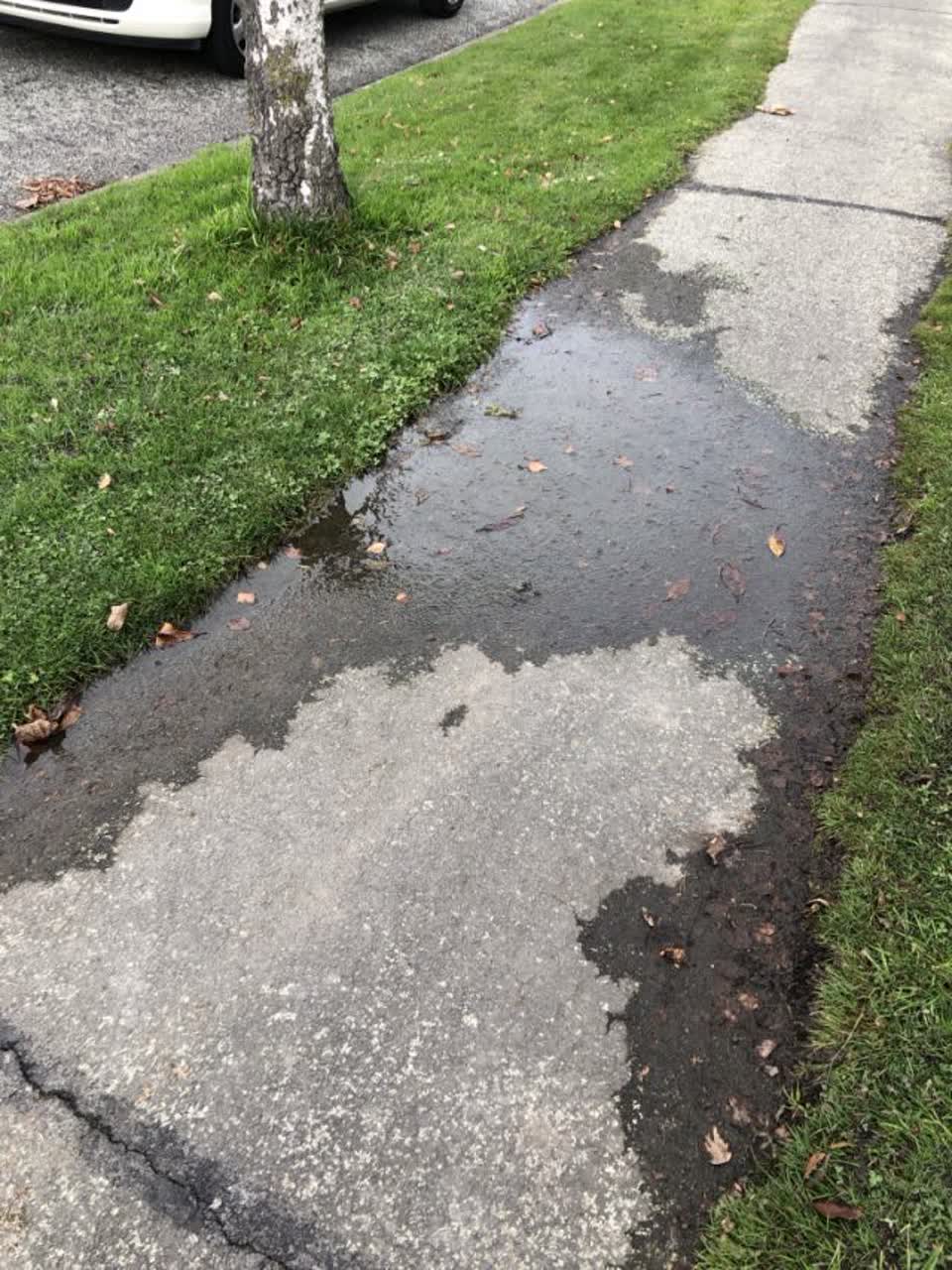 The photograph attached to this water supply report