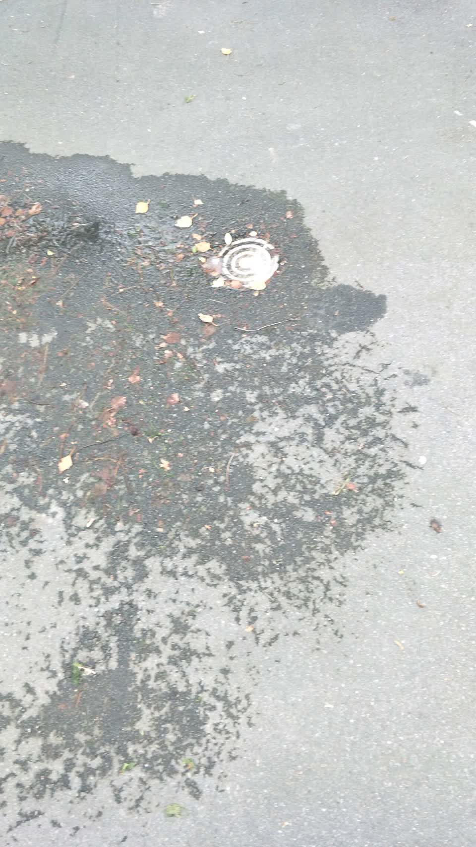 The photograph attached to this water supply report