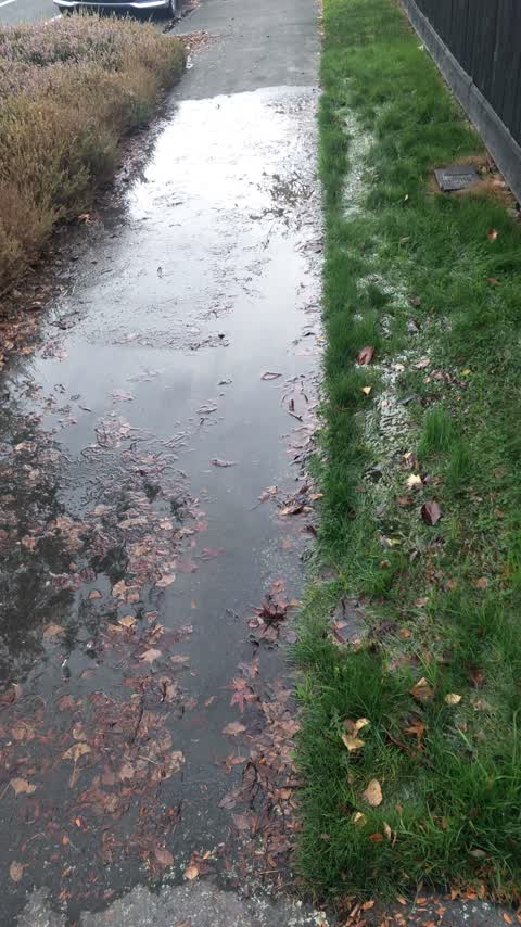 Water Supply, a report photo