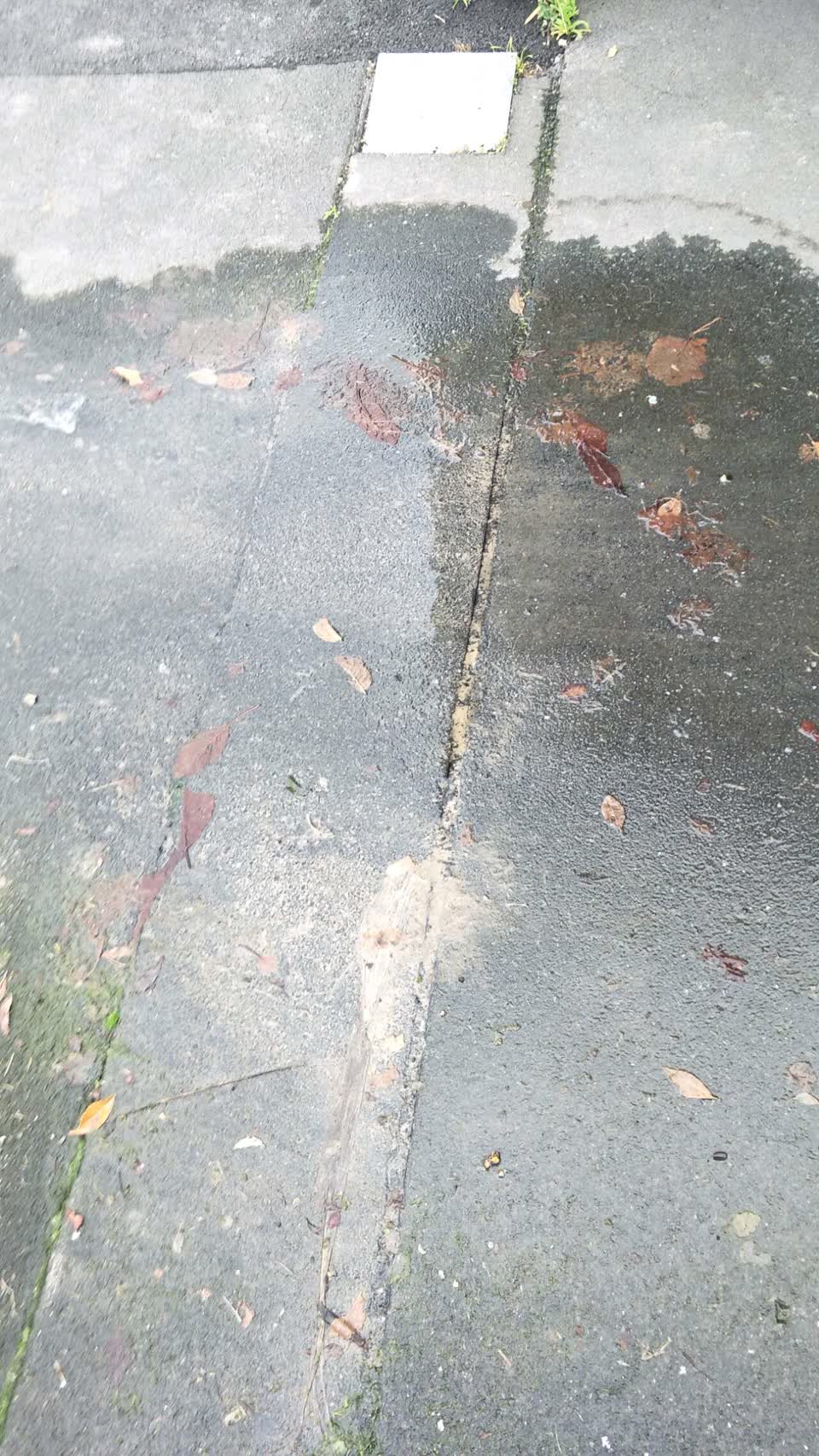 The photograph attached to this water supply report