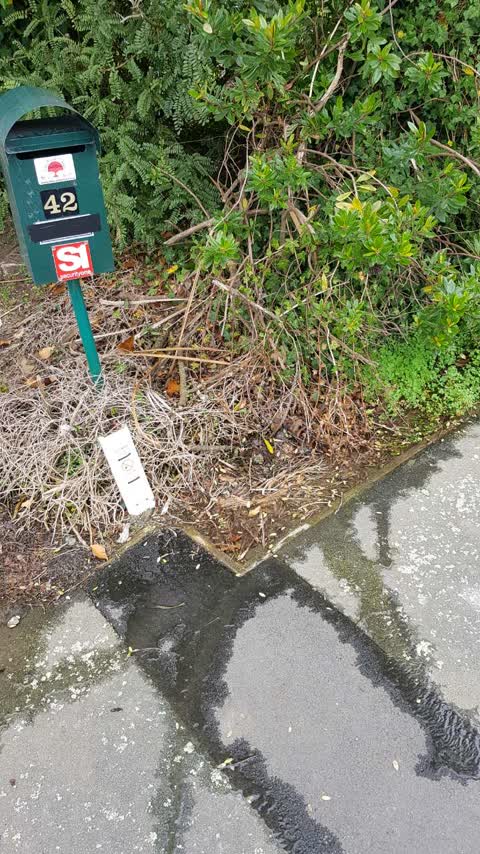 Water Supply, a report photo