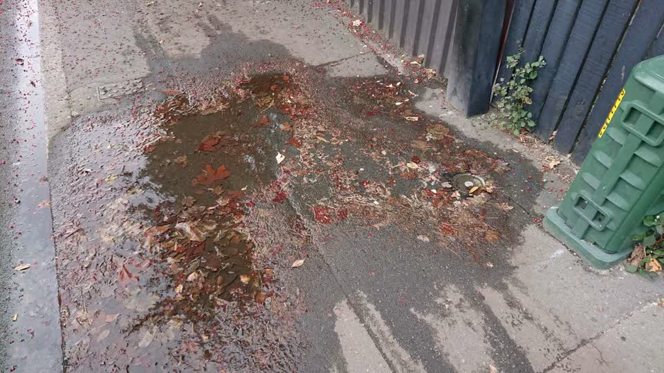 The photograph attached to this water supply report