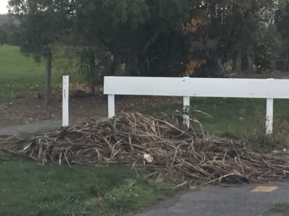 The photograph attached to this rubbish/recycling report