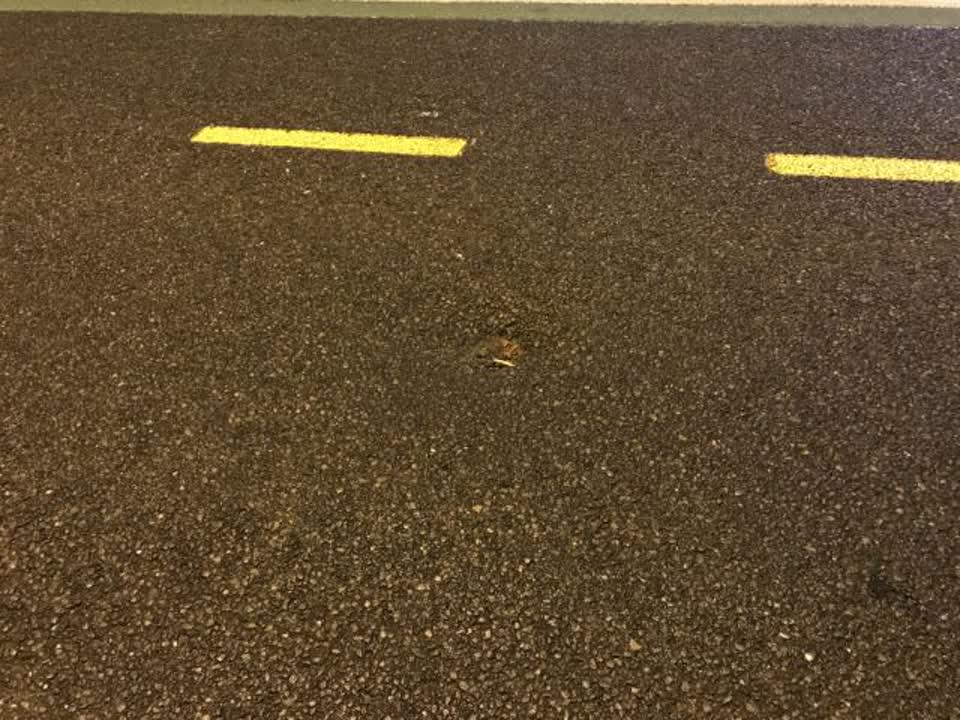 The photograph attached to this roading/streets report