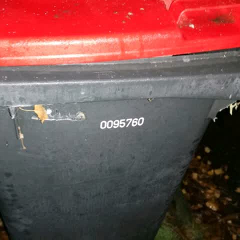 Rubbish/Recycling, a report photo