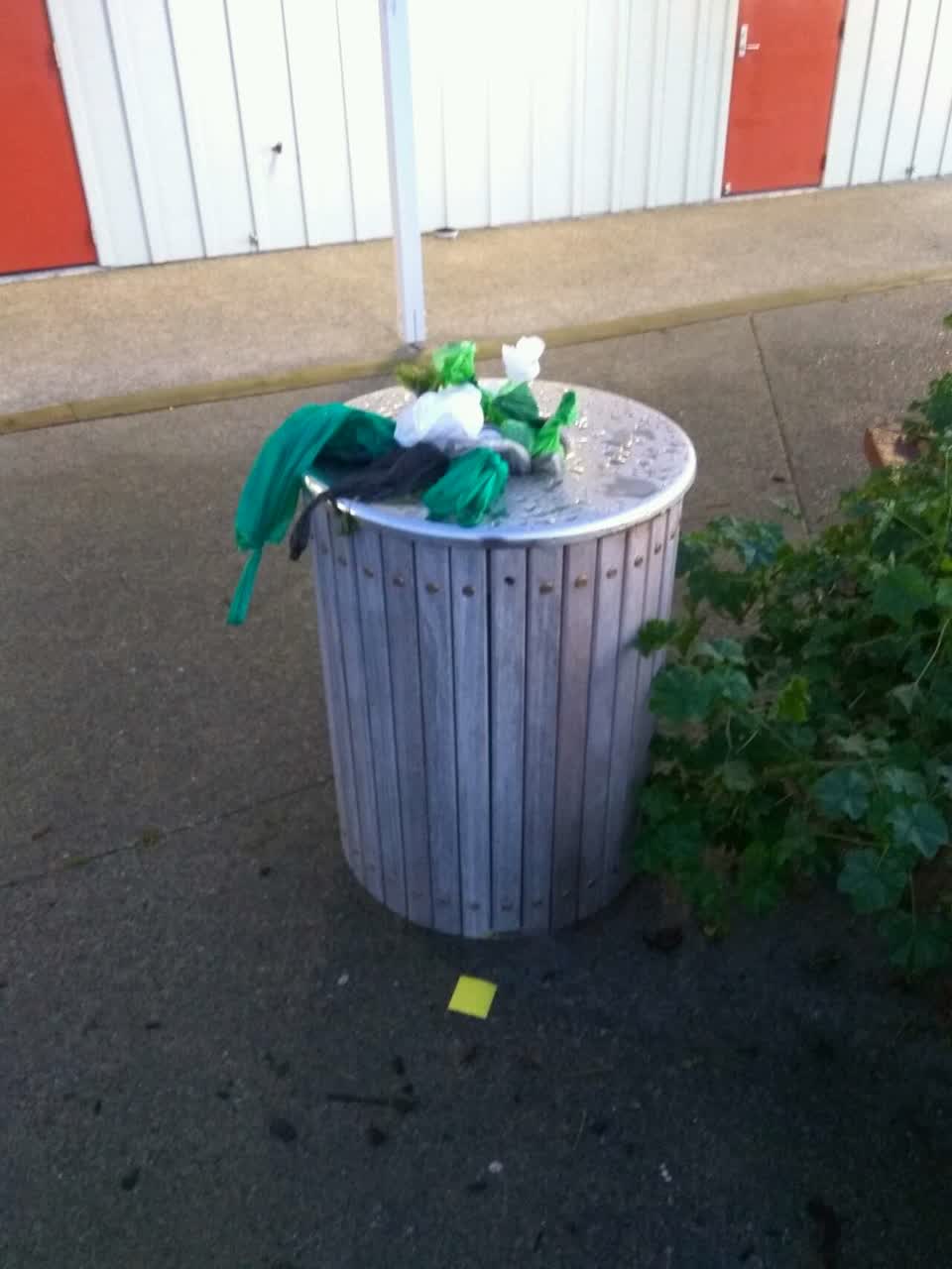 The photograph attached to this parks report