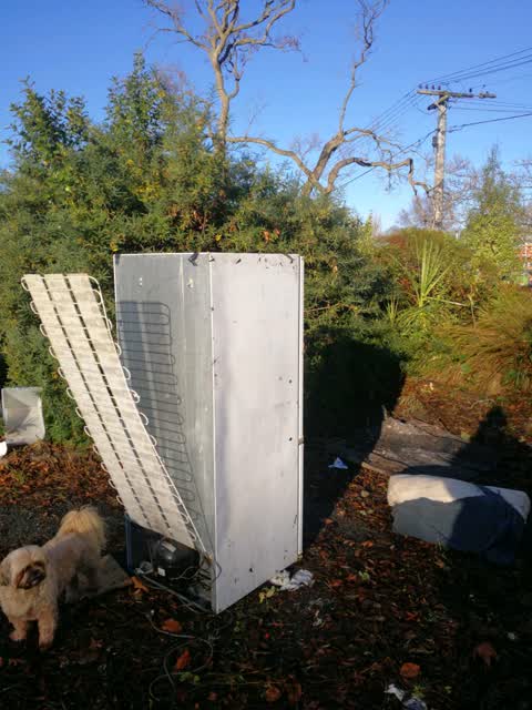 Rubbish/Recycling, a report photo