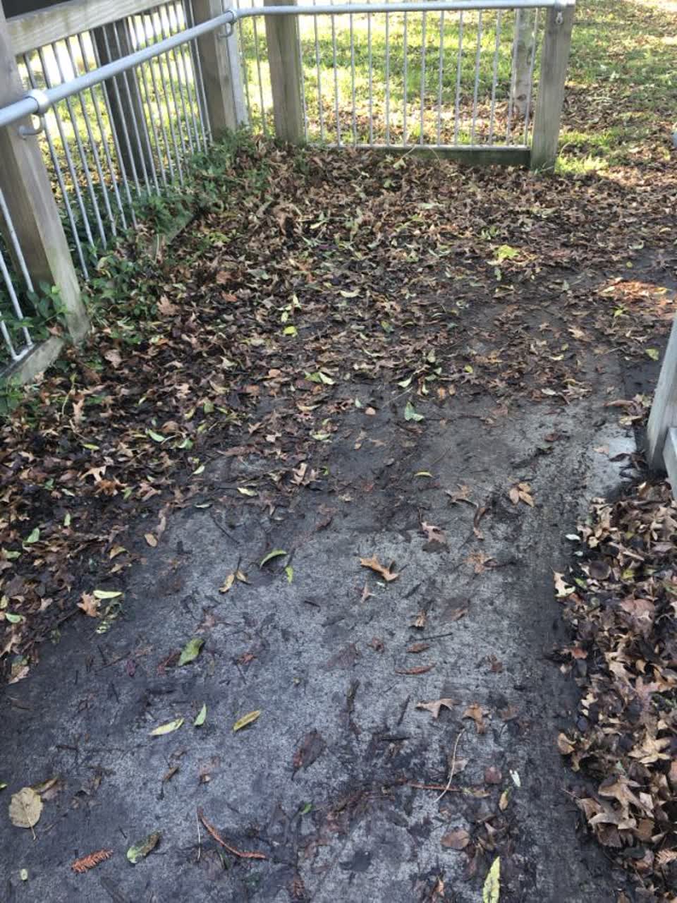 The photograph attached to this parks report