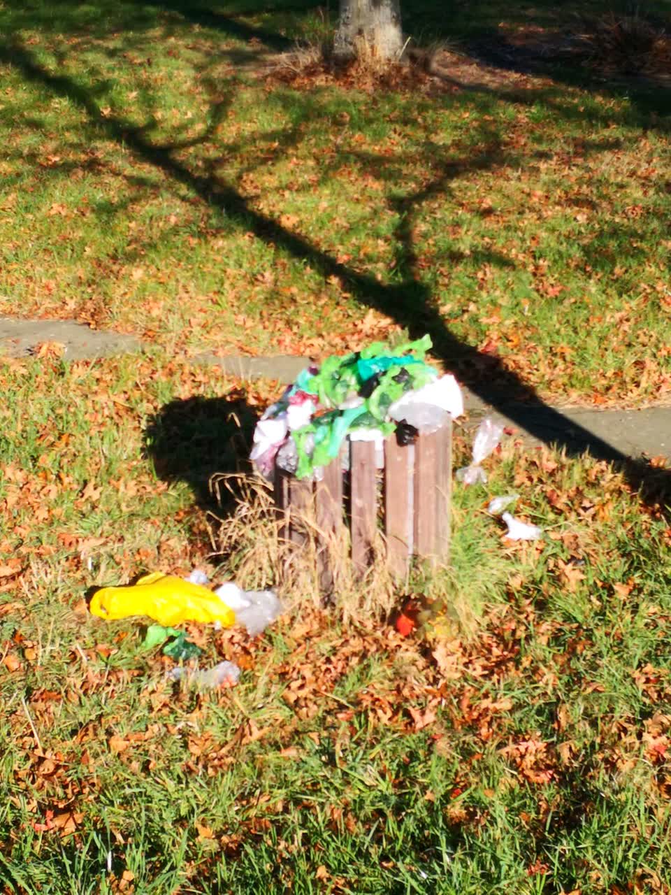 The photograph attached to this rubbish/recycling report