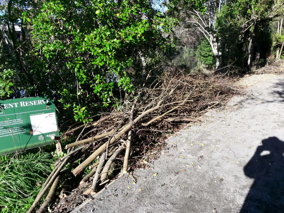 The photograph attached to this parks report