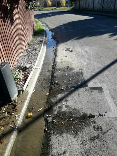 Water Supply, a report photo