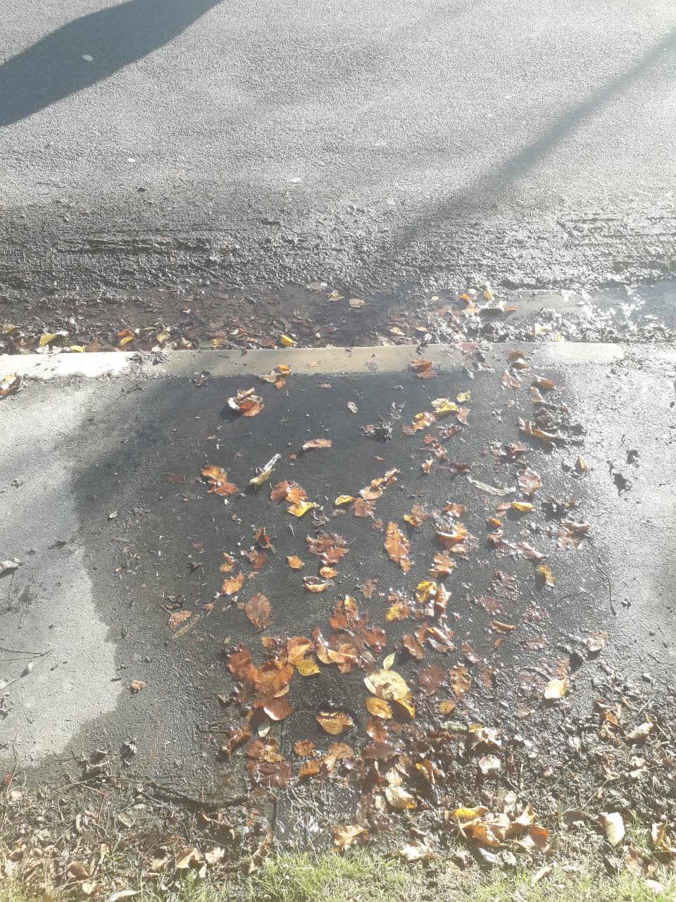 The photograph attached to this water supply report