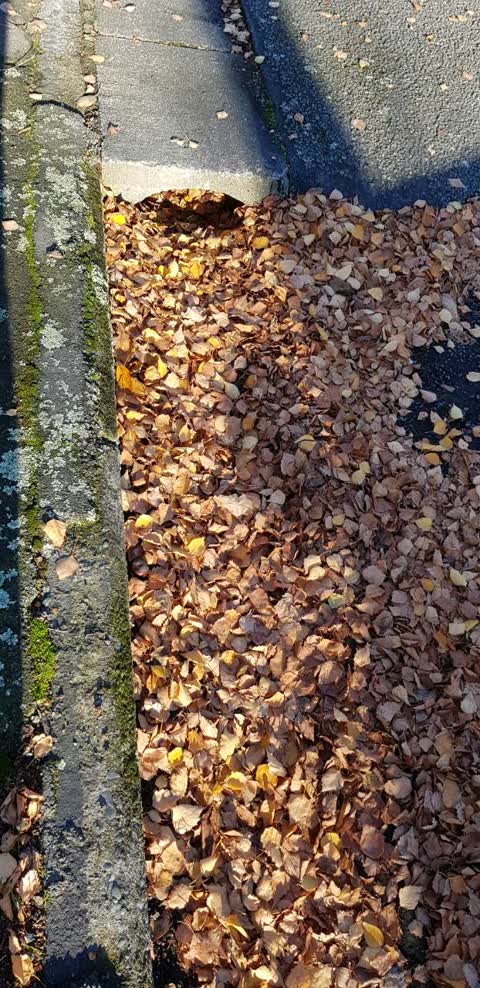 Roading/Streets, a report photo