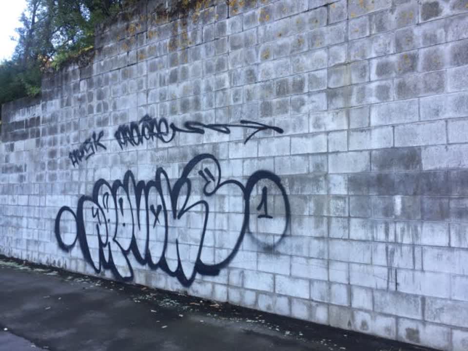 The photograph attached to this graffiti report