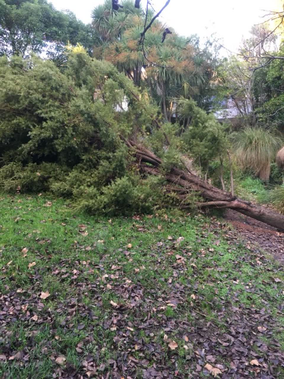 The photograph attached to this parks report