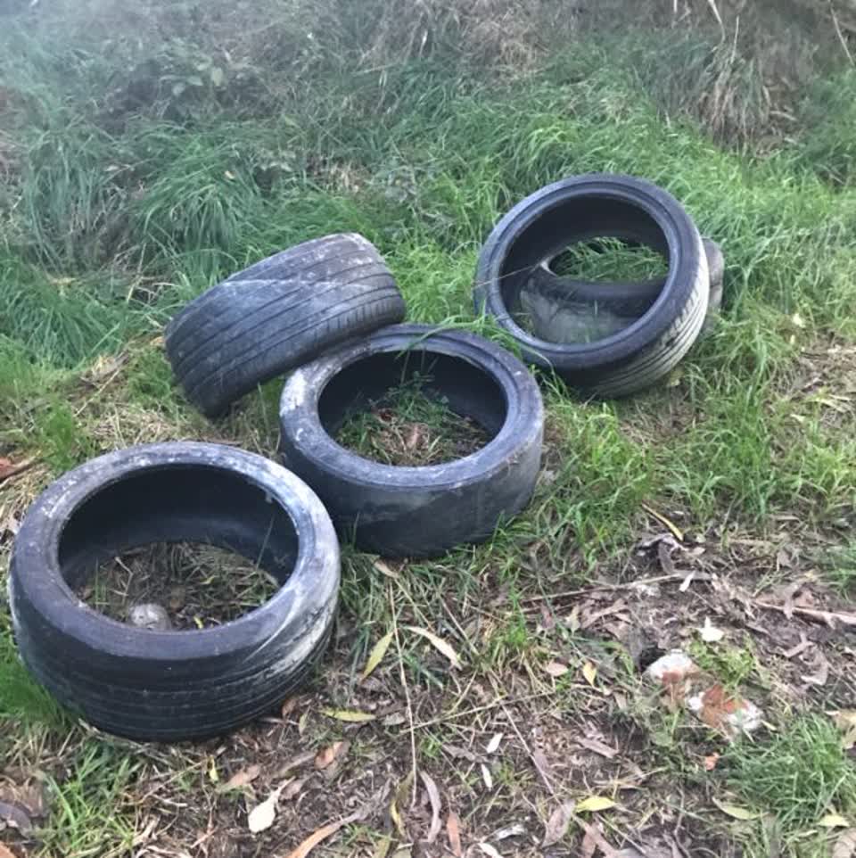 The photograph attached to this rubbish/recycling report