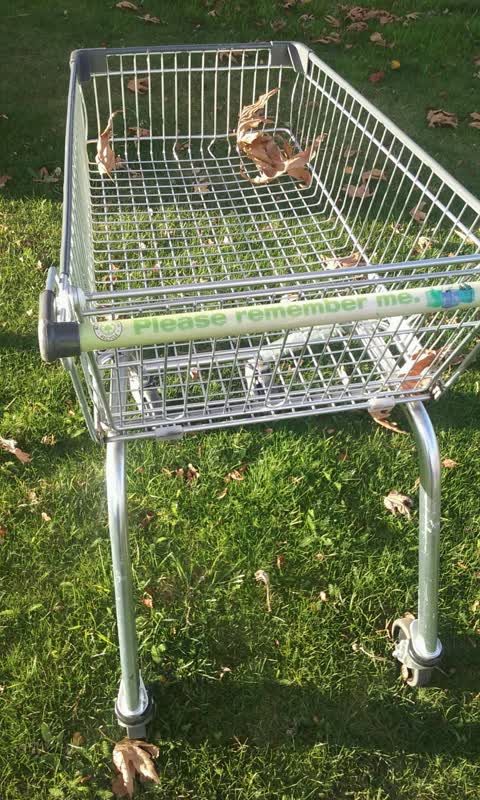 Rubbish/Recycling, a report photo