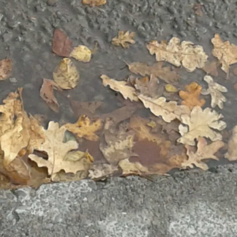 The photograph attached to this water supply report