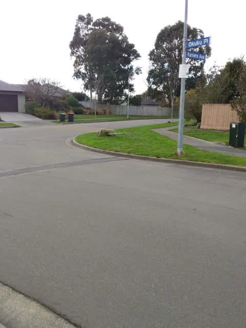 Roading/Streets, a report photo